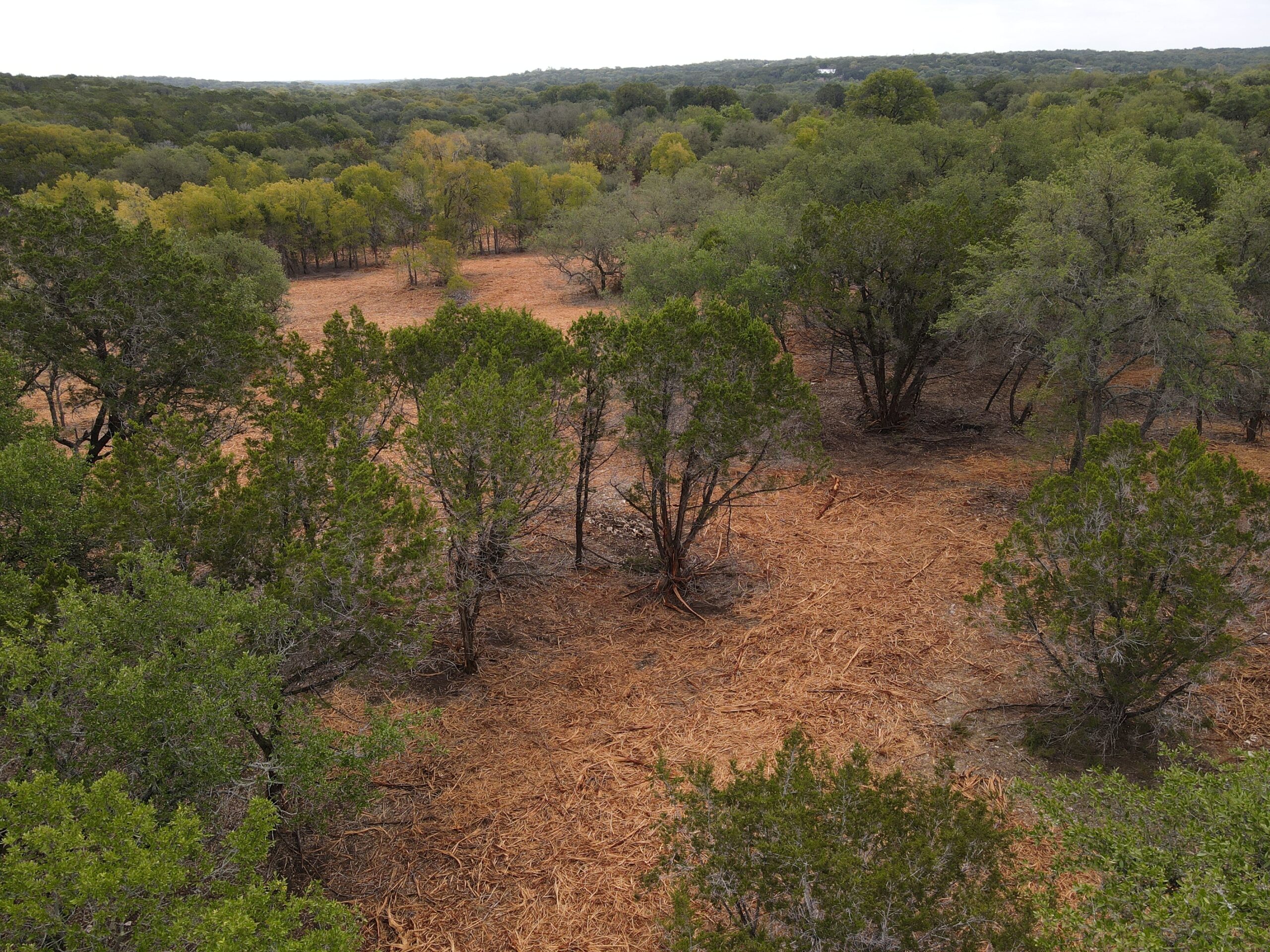 Deleon new Listing Beem Team Texas Real Estate